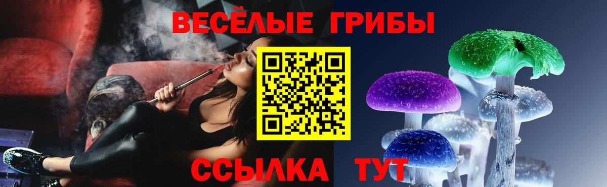 Галлюциногенные грибы прущие грибы  Вход с VPN  Галлюциногенные грибы мухоморы  Алатырь 
